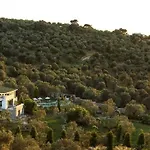 Teomida